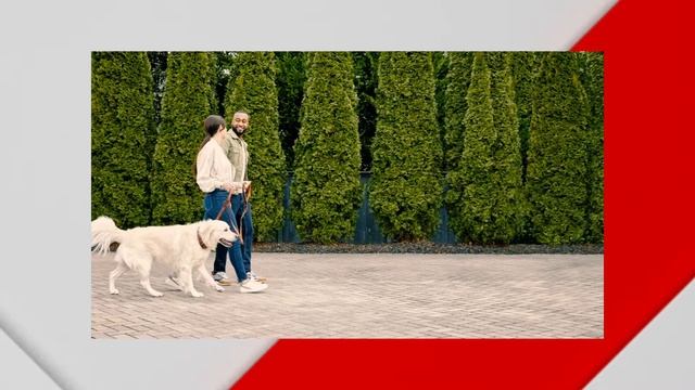 GARMIN VIVOSMART 5 | PULSEIRA FITNESS COM MONITORAMENTO DE FREQUÊNCIA CARDÍACA E + смотреть онлайн