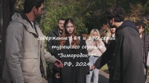 Содержание 189 и 190 серий (24 и 25 турецкие) второго сезона сериала "Зимородок" (РФ, 2023 / 2024)