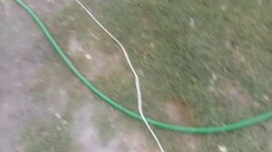 Быстрая чистка подсолнуха. Веялка для семечек