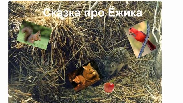 Сказка про ежика смотреть онлайн