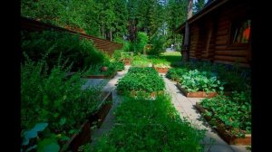 Дизайн участка 6 соток: идеи стильного оформления для вдохновения 55 фото (landscape design area)