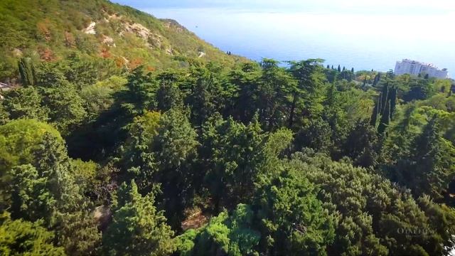 Полёты над Крымом -  Никитский ботанический сад, ЮБК