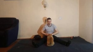 КАК ДРЕССИРОВАТЬ ПОМЕРАНСКОГО ШПИЦА | ШПИЦ ПОМЕРАНСКИЙ