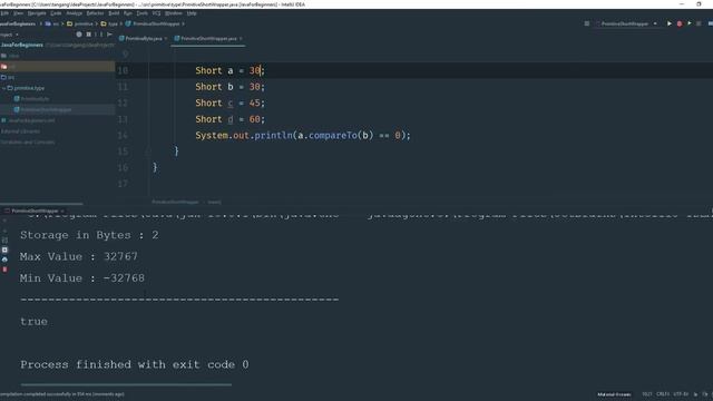 Java Tutorial 11: Java primitive short and Short Wrapper Class смотреть онлайн