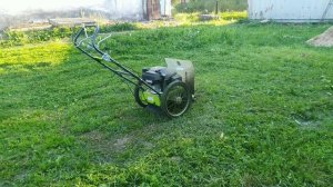 ЖАРА +36, а Я кошу двор колёсным триммером Grillo 600 WD 22 июня. Третий раз за сезон