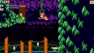 How to get in Hidden Palace Zone on Sonic 2 BONUS!