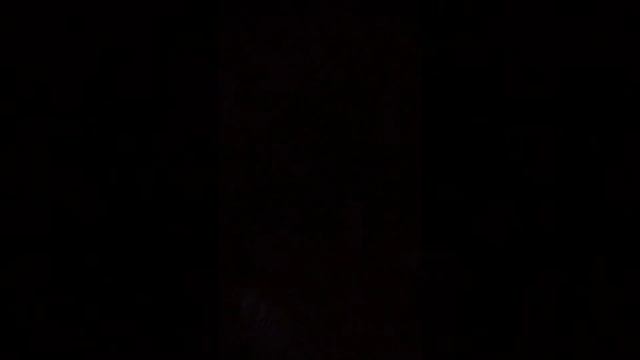 #Треск вербы#Введение во храм Пресвятой Богородицы# смотреть онлайн