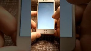 iPhone 6 на 64гб Ростест