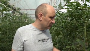 Беневия сработал очень хорошо! Контроль насекомых отличный.