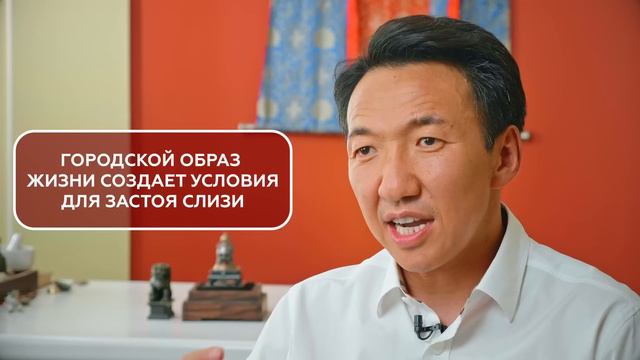 ПОЧЕМУ происходит ЗАСТОЙ СЛИЗИ и что это такое // #чжудши #тибетскаямедицина #застойслизи