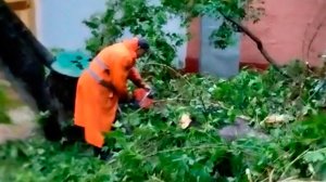 В Москве устраняют последствия урагана