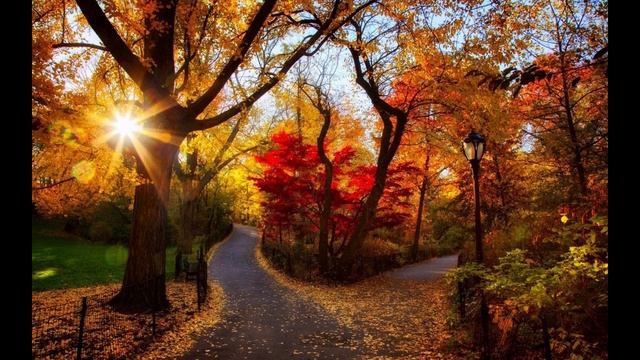 П.С. Агафошин "Этюд "ре минор смотреть онлайн