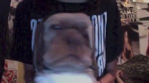 Who Let The Dogs Out