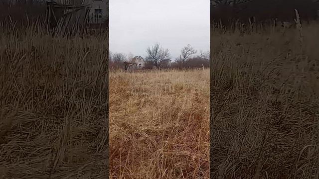 Продажа дачи 12 соток. смотреть онлайн