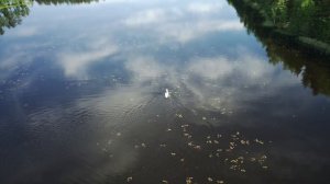 оз. Гу́пуярви (Троицкое озеро д.Васкелово)