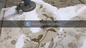 Чистка на 100% и Поднятие Ворса на Ковре
