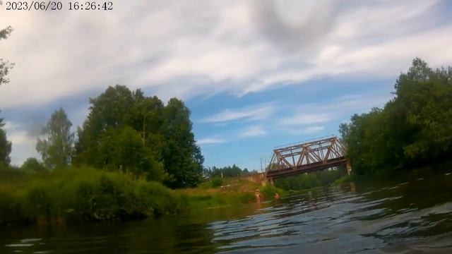 река Оредеж в вырица 2023 смотреть онлайн