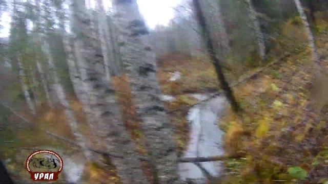 Подготовка молодых собак смотреть онлайн