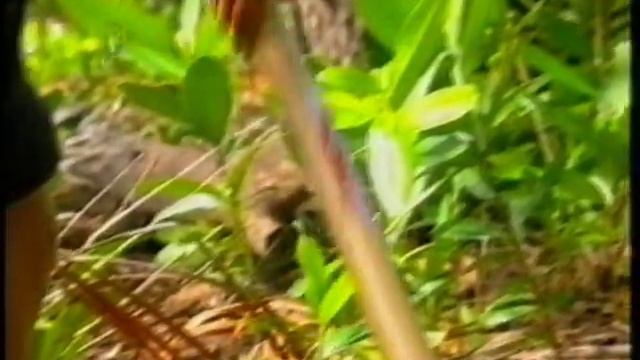 Shipwrecked 2006 Battle Of The Islands Episode 1 Part 1 смотреть онлайн