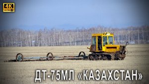 Гусеничный трактор ДТ-75МЛ Казахстан - боронование прошлогодней стерни