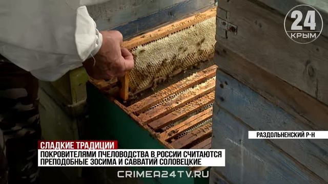 Сладкий бизнес. Сколько мёда приносят крымчанам итальянские пчёлы
