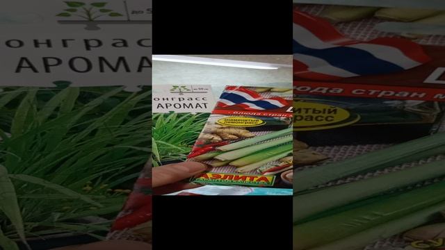 Интересно а Лемонграс, лимонная трава, у нас в Подмосковье будет расти?