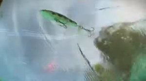 Воблер RAPALA Skitter Prop