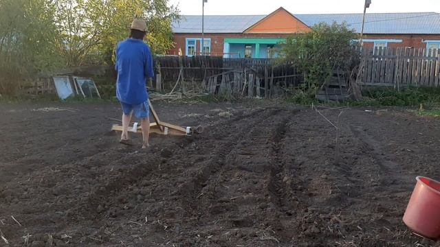 2021 июнь . Посадка картошки смотреть онлайн