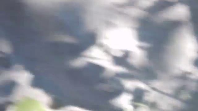 клубника земляника садовая сан андреас и земляника александрия смотреть онлайн