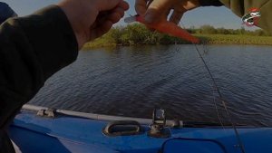 Рыбалка на Тавде в начале июня. Отчёт.