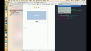 How to Create Collection view in Xcode 9.0 (Swift 4.0) Part 1