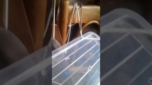 Как сделать домик для мышки чтобы ей было уютно