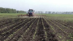 Настройка нормы вылива КАС. Культивация подсолнечника. РЕЗУЛЬТАТ! смотреть до конца!!!
