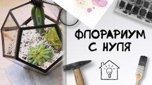 Флорариум с нуля [Идеи для жизни]