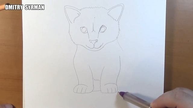 Как нарисовать котёнка, How To Draw A Kitten