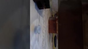 часы ходики кошка