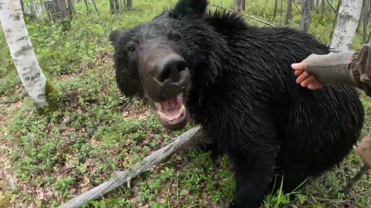 Дуся выбирает попутчика. смотреть онлайн