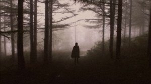 ты идешь по загадочному лесу