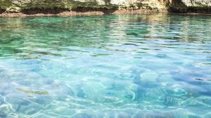 7 класс. Диктант 23.