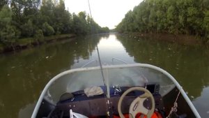 В ПОИСКАХ БОЙКОЙ ЩУКИ ЧУТЬ НЕ НАЛЕТЕЛ НА ЛОСЯ. Рыбалка в протоках Оби Томской области