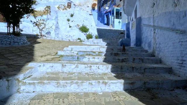 Nr. 42: Marokko: ist das Land noch ein Paradies für Van Life?