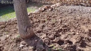 Love, buying a house, life full of love of a young nomadic couple and being complementary