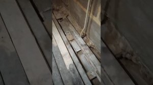 Ремонт деревянного пола в сталинке, перекрытия бетонные ванночки