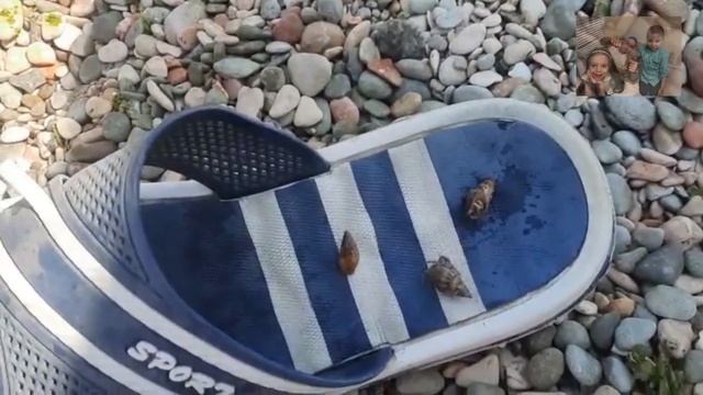 ПОЕЗДКА НА МОРЕ НА МАШИНЕ СПБ - ФЕОДОСИЯ. ИЮЛЬ 2021. КРЫМ. смотреть онлайн