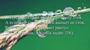 Сунна пророка Мухаммада(с.а.в). Почему нельзя пить воду стоя.