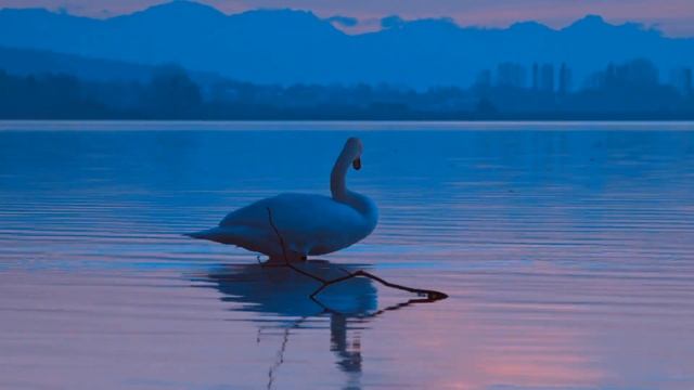 Какой будет Зима 2021-2022 | 28 Главных Примет, 100% проверенных столетиями