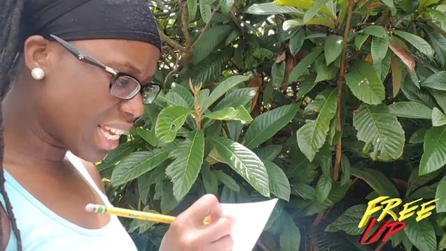 freeupkids | EXPLORE OUTDOORS Week: Plant Investigation смотреть онлайн