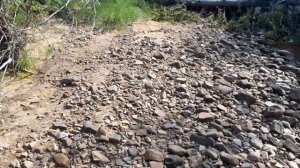 рыбалка/ловля хариуса на мелкой речке