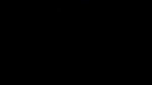 Closing to Despicable Me 2 2013 DVD (Australia)