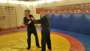 Использование ударов в дзю-дзюцу. Техника для простой и быстрой победы. Темы для новичков 96.